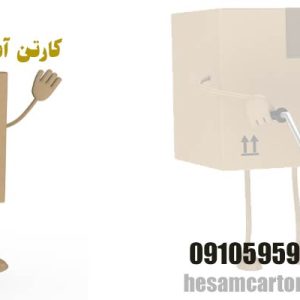 کارتن آماده