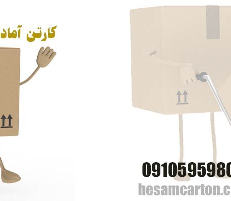کارتن آماده